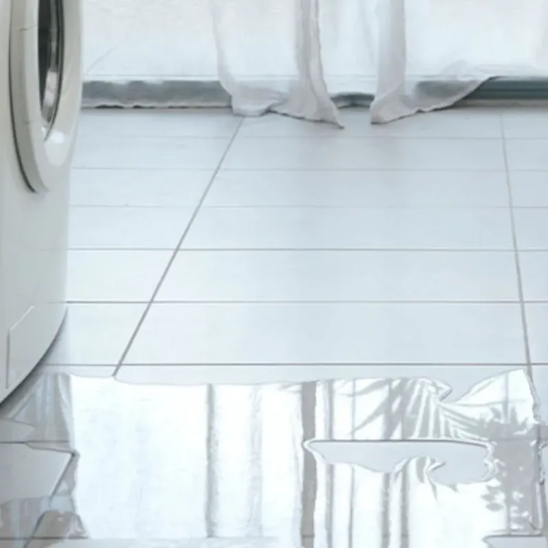 Appliance Leak Cleanup in Lakeview, MI
