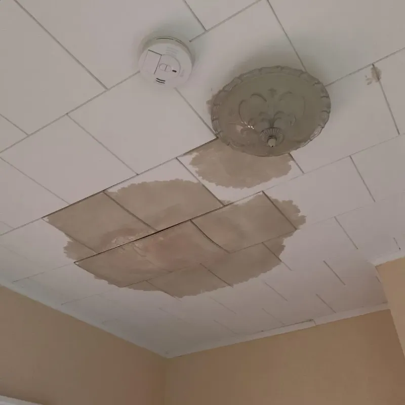 Ceiling Water Damage Repair in Lakeview, MI