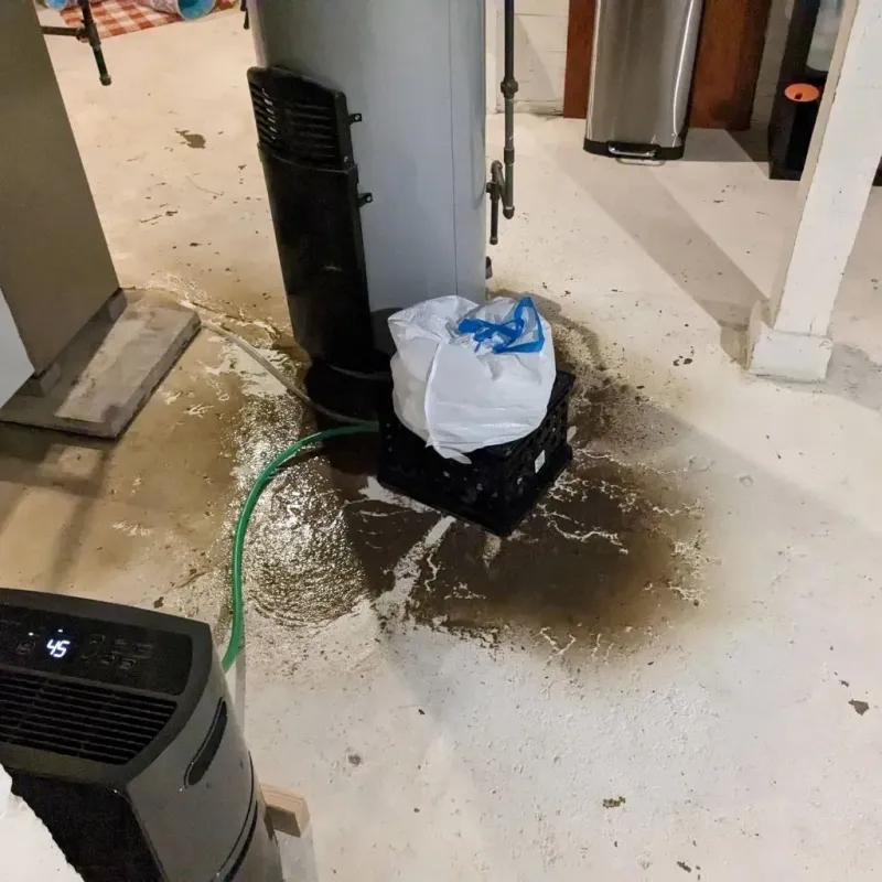 Sewage Backup Cleanup Service in Lakeview, MI